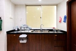 Hazel Park Condominium (D23), Condominium #544398301